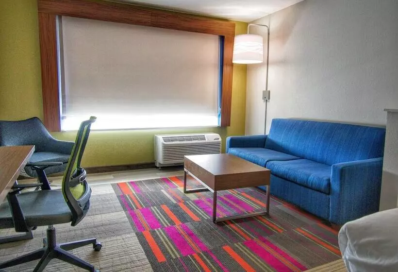身障者適用スイートルーム, Holiday Inn Express & Suites Moore, An Ihg