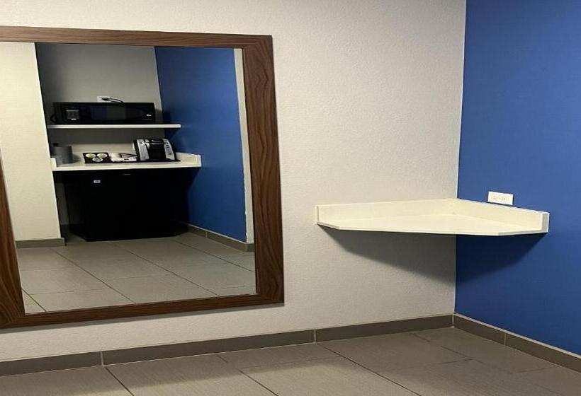 غرفة قياسية سرير كينج لذوى الإحتياجات الخاصة, Holiday Inn Express & Suites Moore, An Ihg