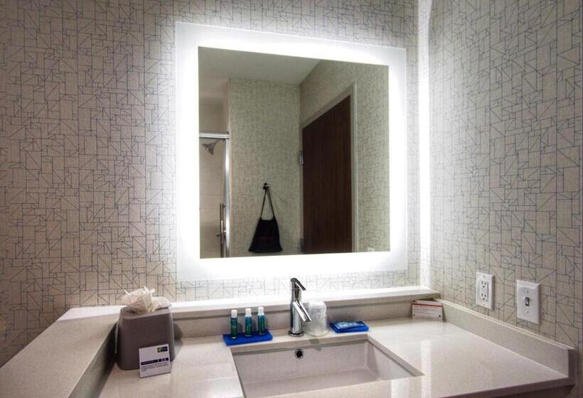 장애인을 위한 킹사이즈 침대 스탠다드 룸, Holiday Inn Express & Suites Moore, An Ihg