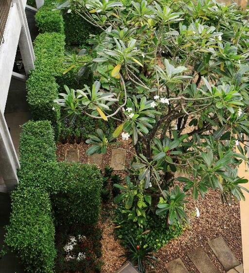 اتاق استاندارد با چشمانداز باغ, The Malika Hotel Sha Extra Plus