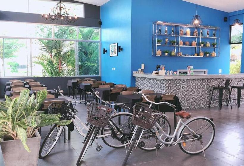 اتاق استاندارد با چشم‌انداز شهر, The Malika Hotel   Sha Extra Plus