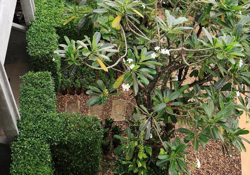 اتاق استاندارد با چشمانداز باغ, The Malika Hotel Sha Extra Plus