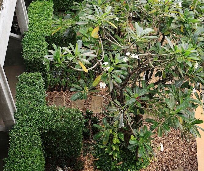 اتاق استاندارد با چشمانداز باغ, The Malika Hotel Sha Extra Plus