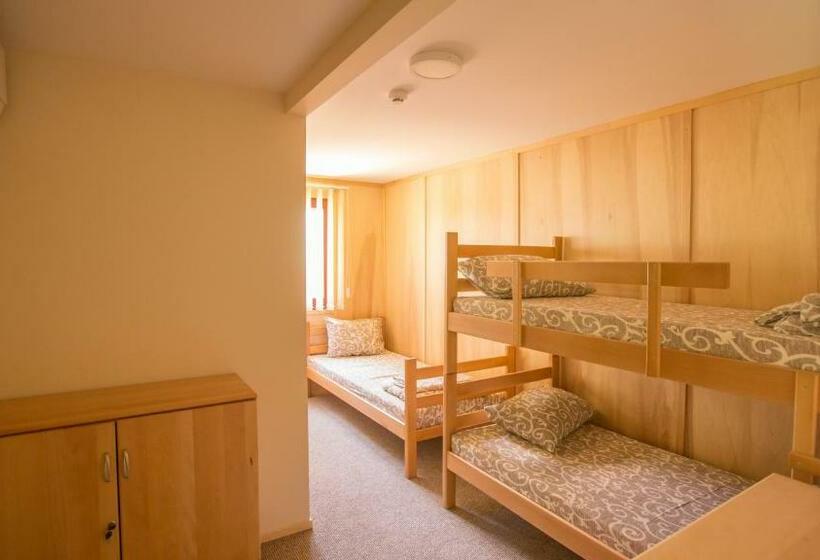 اتاق استاندارد سه نفره, Green House Hostel