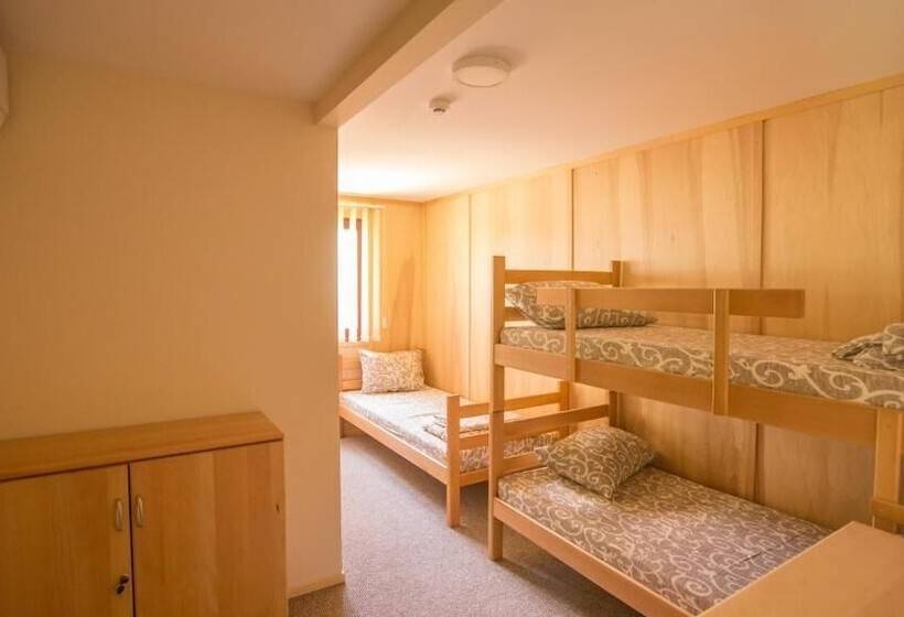 اتاق استاندارد سه نفره, Green House Hostel