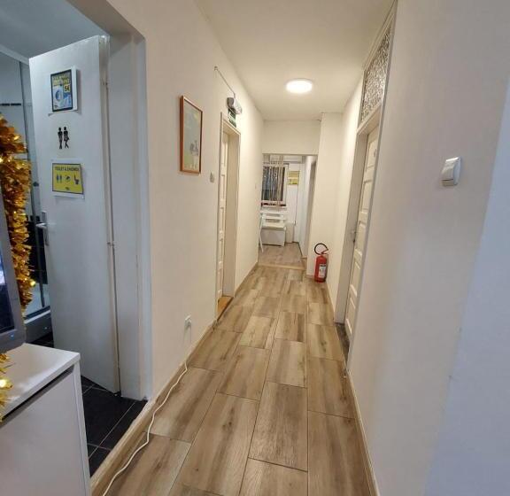 تختخواب در اتاق مشترک, Hostel Inn Downtown