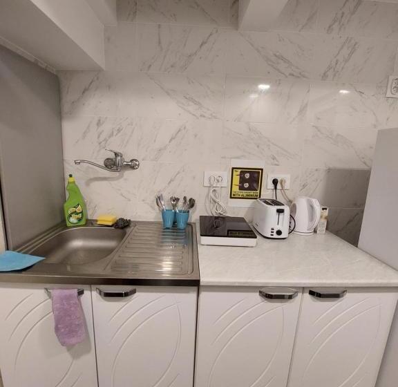 تختخواب در اتاق مشترک, Hostel Inn Downtown