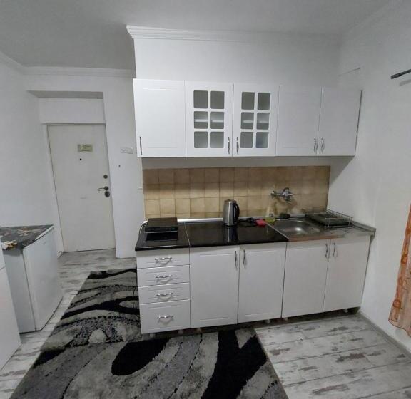 استودیوی استاندارد, Hostel Inn Downtown