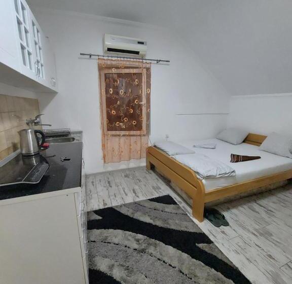 استودیوی استاندارد, Hostel Inn Downtown