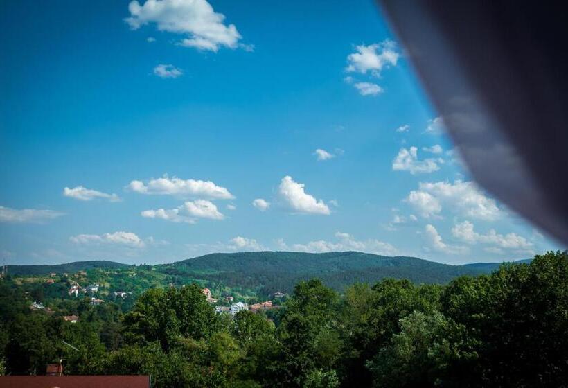 スーペリアールーム, Danica