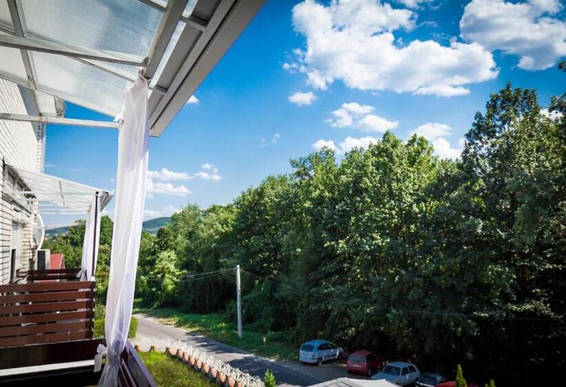 バルコニー付きデラックスルーム, Danica