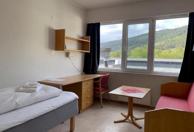 חדר סטנדרט יחיד, Borg Sommerhotell