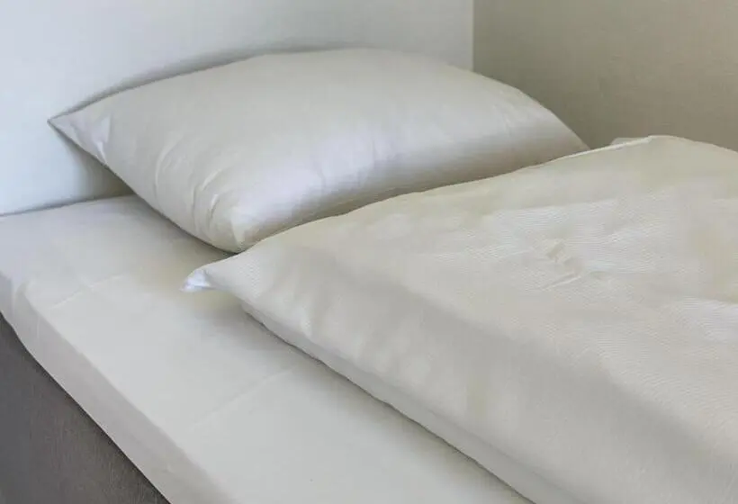 スタンダードシングルルーム, Borg Sommerhotell