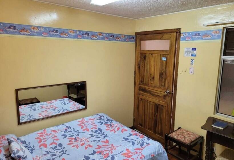 스탠다드 싱글 룸, Hostal Viena