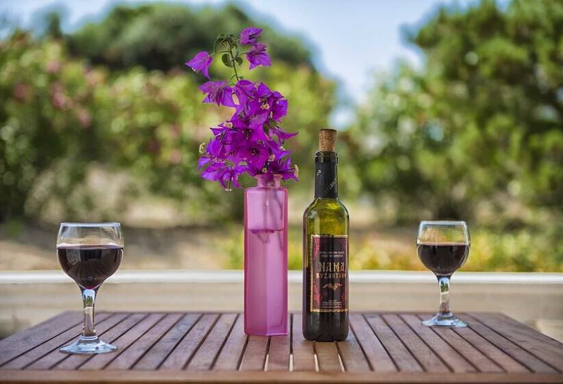 패밀리 스튜디오, Elli Beach Apartments And Studios