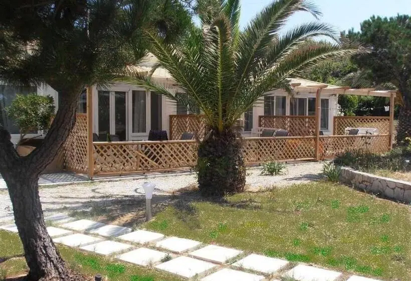 ファミリーステューディオ, Elli Beach Apartments And Studios