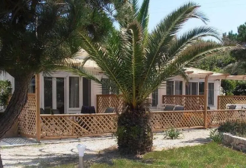 ファミリーステューディオ, Elli Beach Apartments And Studios