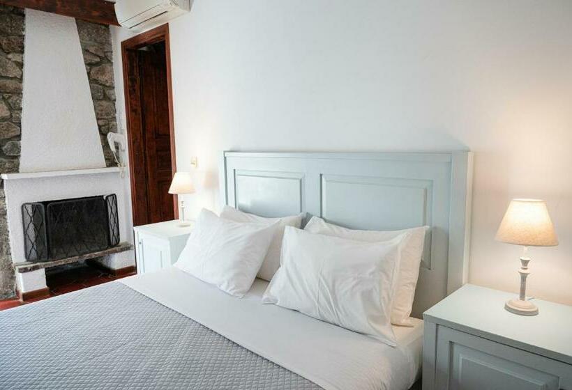 اتاق استاندارد, Dionysos