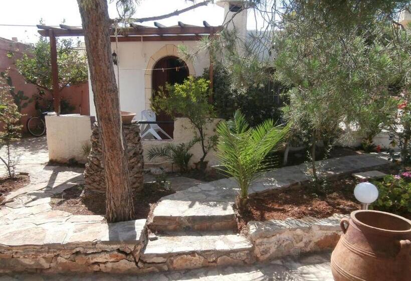 スタンダードスタジオ, Eliza