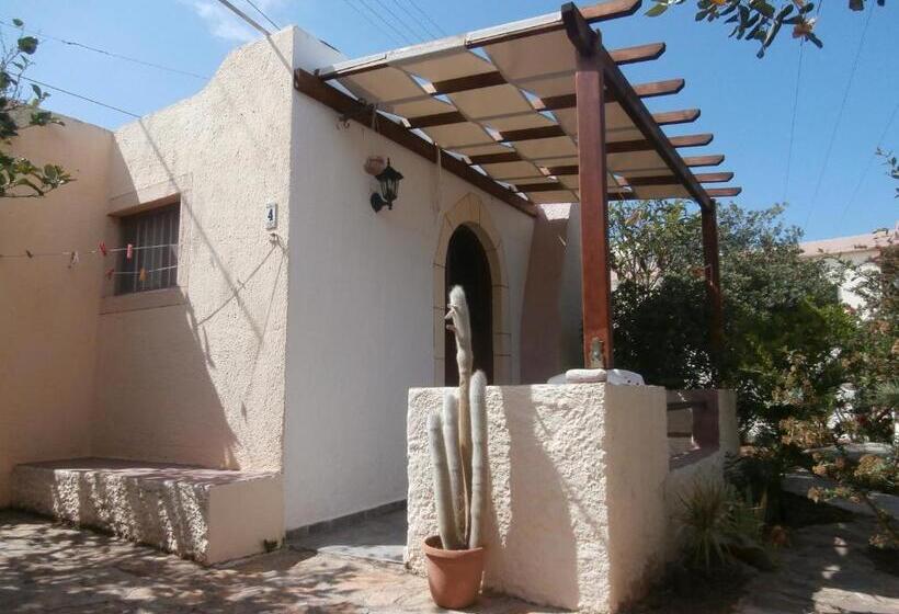 スタンダードスタジオ, Eliza