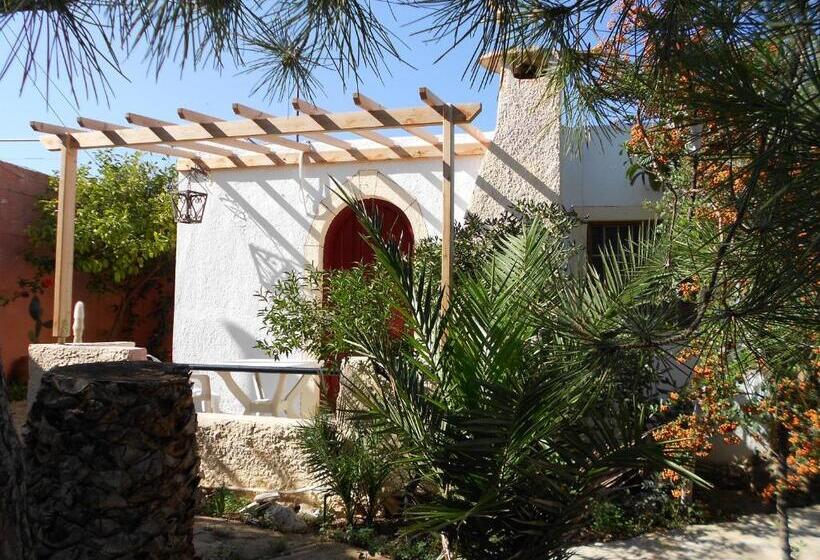 スタンダードスタジオ, Eliza