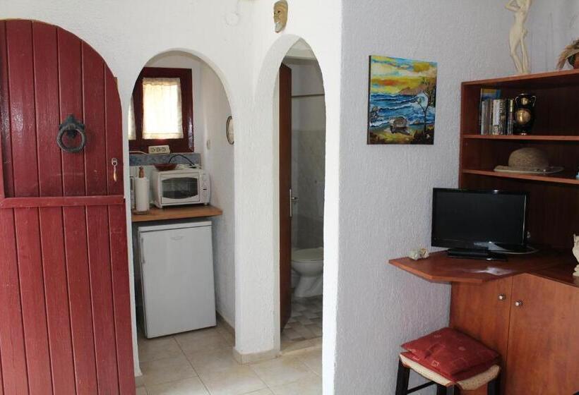 スタンダードスタジオ, Eliza