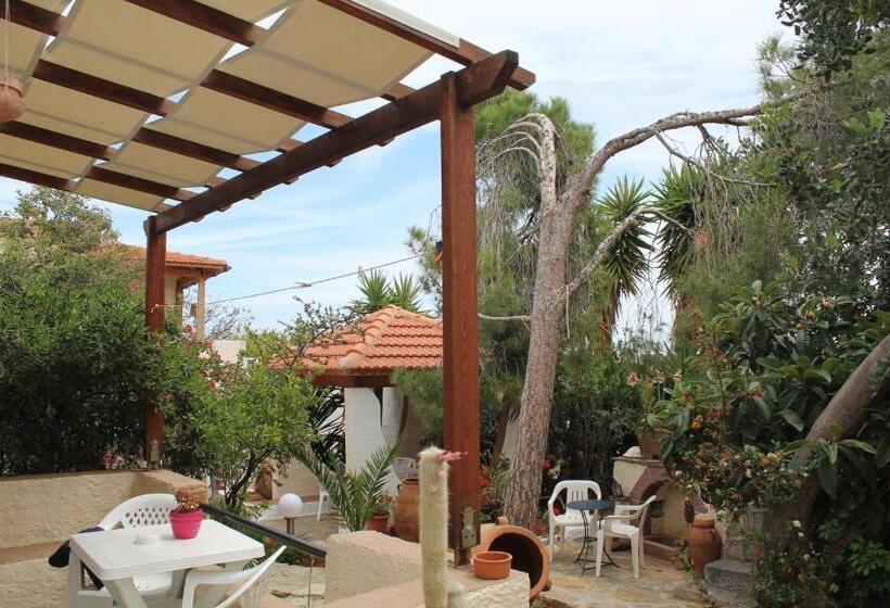 スタンダードスタジオ, Eliza