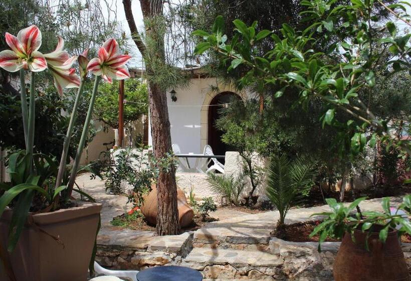 スタンダードスタジオ, Eliza