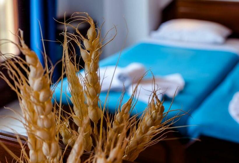 스탠다드 룸 바다 전망, Poco Loco Bed & Breakfast