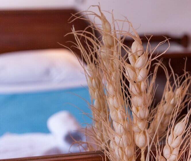 스탠다드 룸, Poco Loco Bed & Breakfast