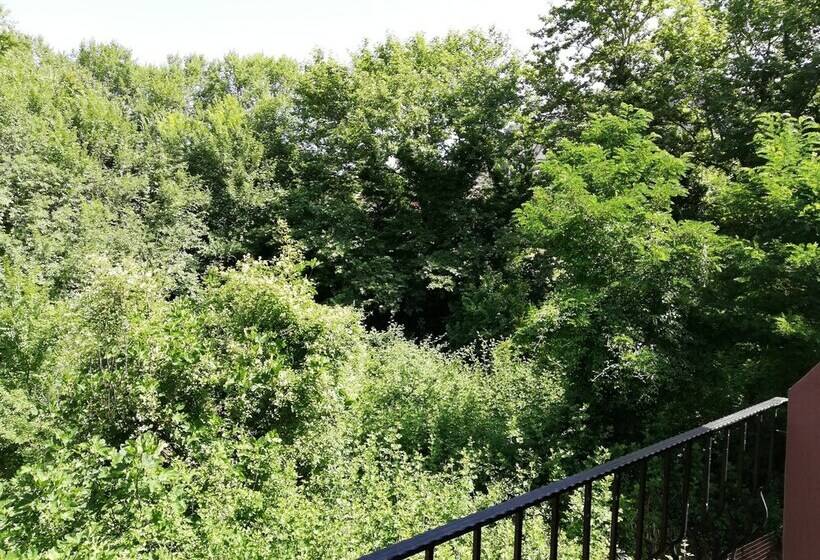 اتاق استاندارد سه نفره, Spanias