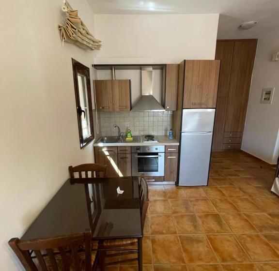 带1个卧室的经济型公寓, Vathi