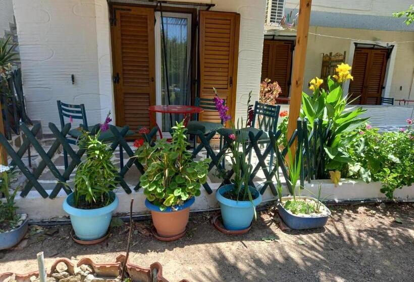 패밀리 스위트, Villa Rena