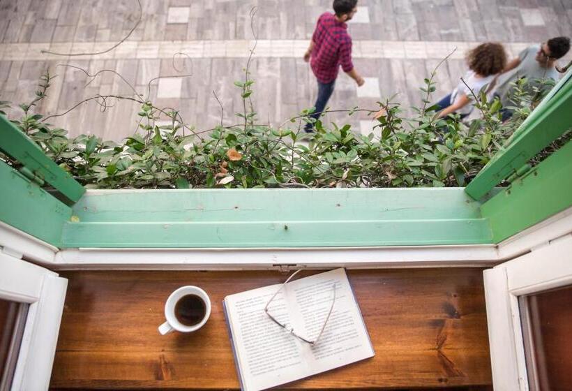 غرفة سوبيريور, Amymone And Adiandi