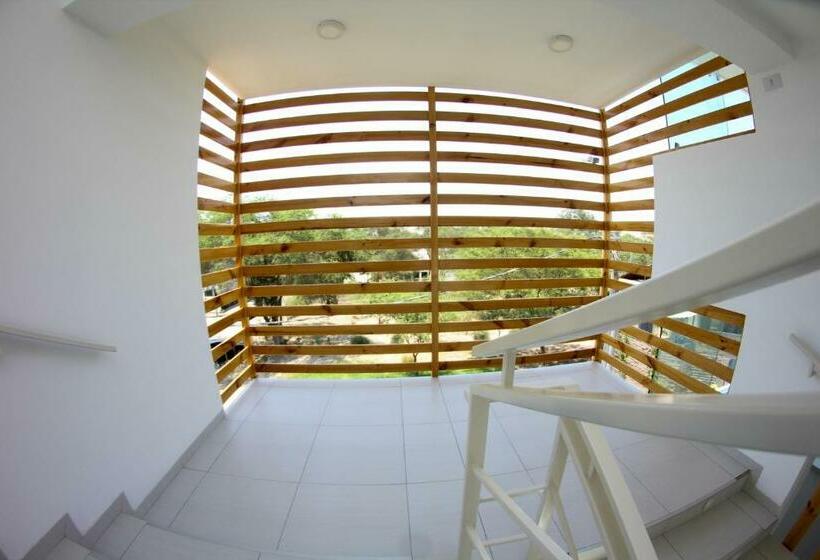 غرفة سوبيريور, Balistra