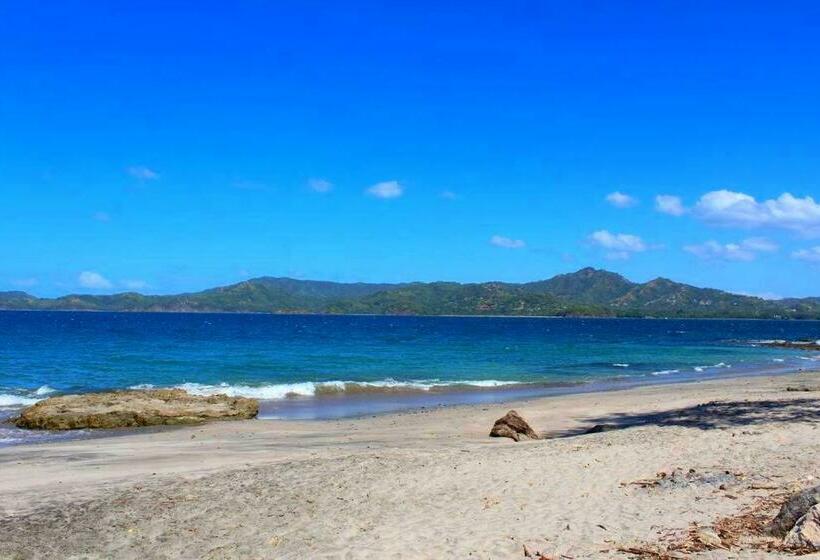 스탠다드 룸, Flamingo Marina