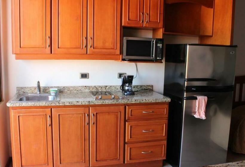 스탠다드 발코니 스튜디오, Flamingo Marina