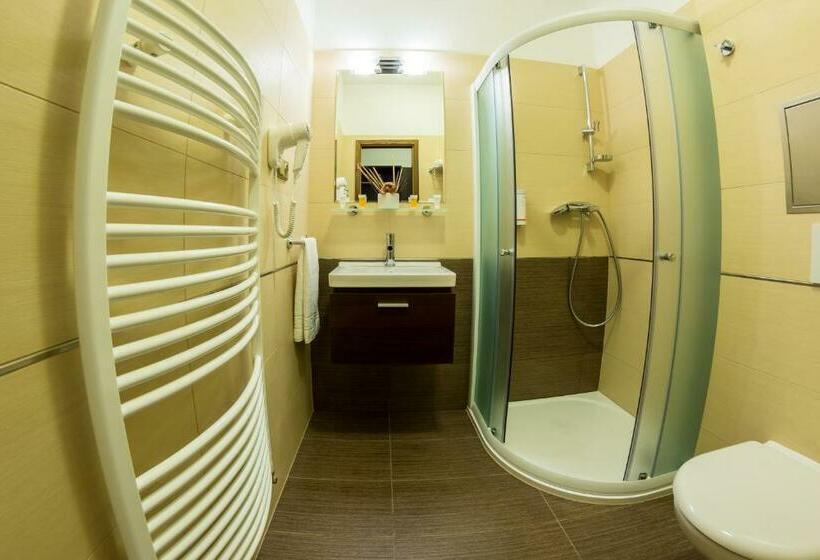 스탠다드 룸, Lužnice