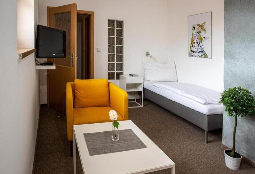 חדר אקונומי יחיד, Penzion Dena