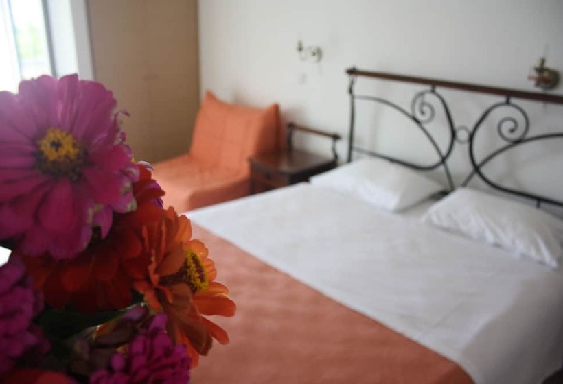 דירת חדר, Rigakis