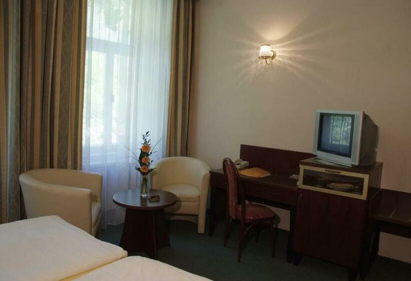 غرفة قياسية, Royal Marianske Lazne