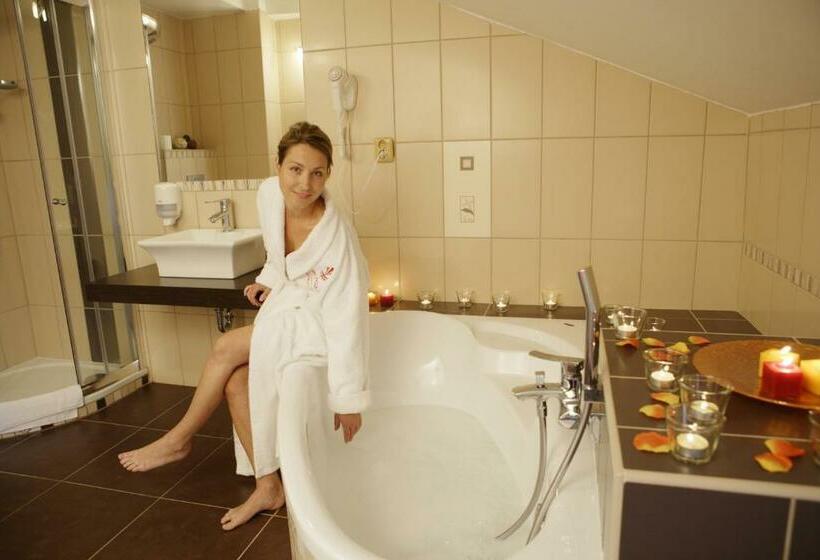 غرفة قياسية ذات إطلالة بانورامية, Royal Marianske Lazne