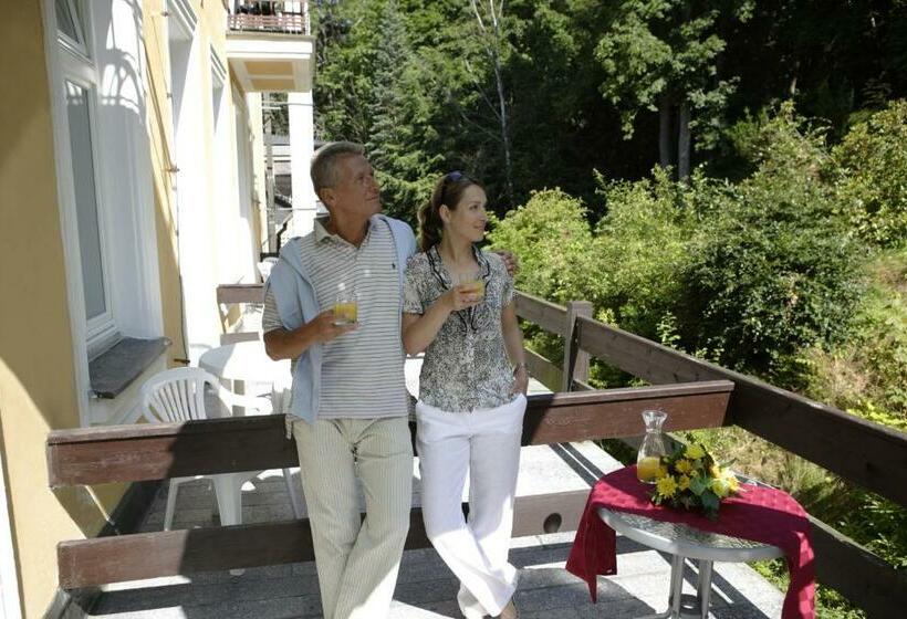 غرفة قياسية ذات إطلالة بانورامية, Royal Marianske Lazne