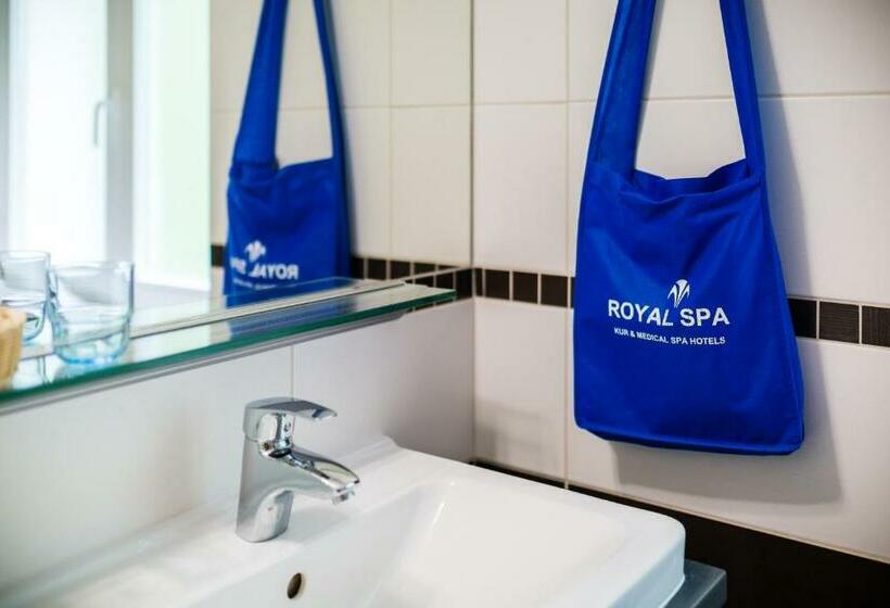 غرفة قياسية ذات إطلالة بانورامية, Royal Marianske Lazne