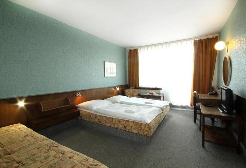 Chambre Standard avec Balcon, Strážnice