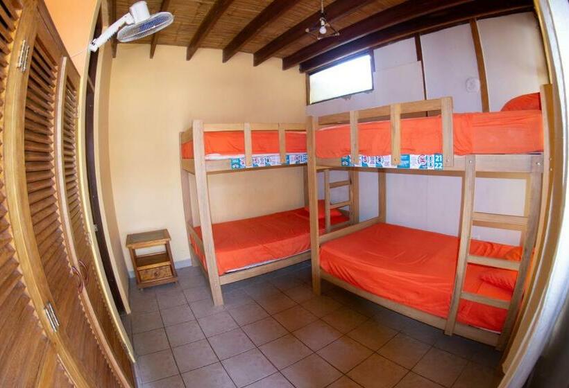 Seng i Delt Værelse, The Point Mancora Beach