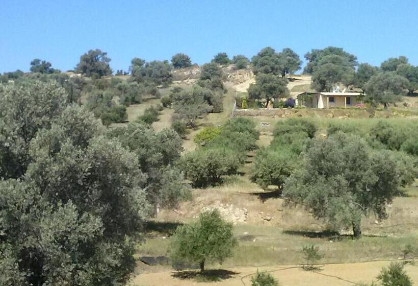חדר סטנדרט לארבעה, Villa Costas   Popi