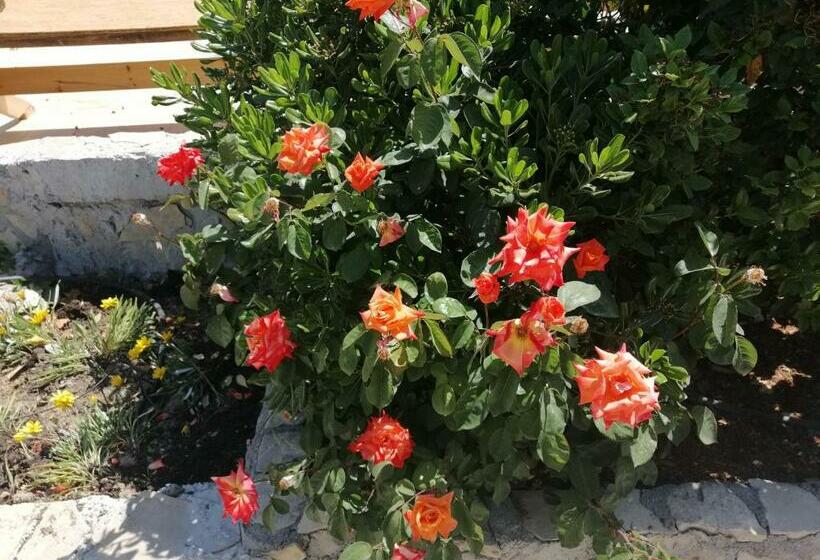 חדר סטנדרט יחיד, Villa Costas   Popi