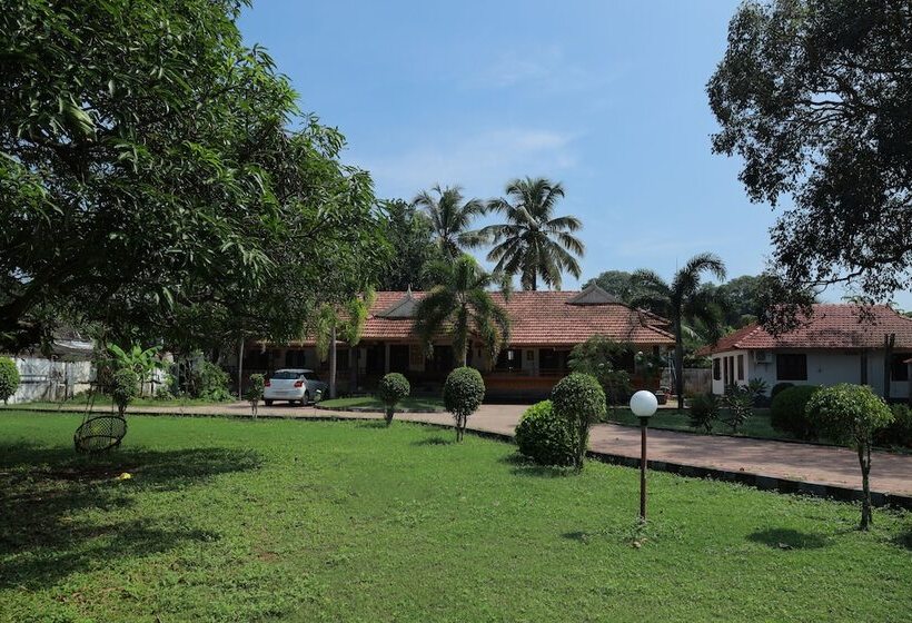 Номер Стандарт Трехместный, Baywatch Beach Resort