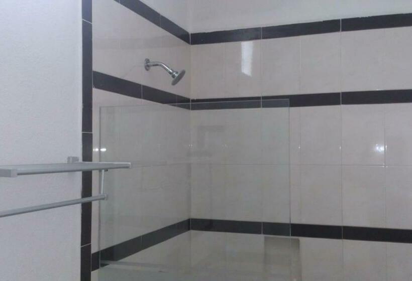 بنجلو قياسى غرفتين نوم, Albatros Palace